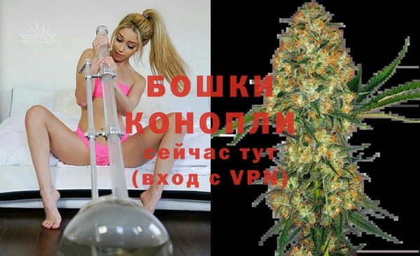 ПСИЛОЦИБИНОВЫЕ ГРИБЫ Надым