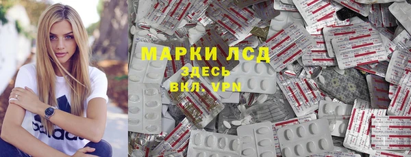 гидра Ахтубинск