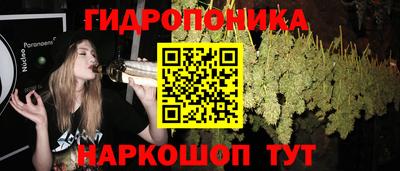 прущие крисы Абинск