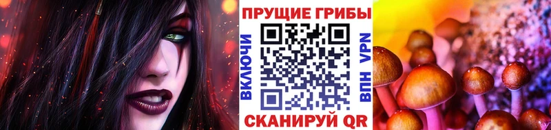 Галлюциногенные грибы MAGIC MUSHROOMS  Людиново 