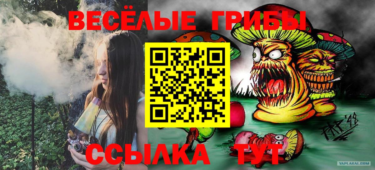 Людиново  Псилоцибиновые грибы прущие грибы  где купить наркотик  Вход с VPN 