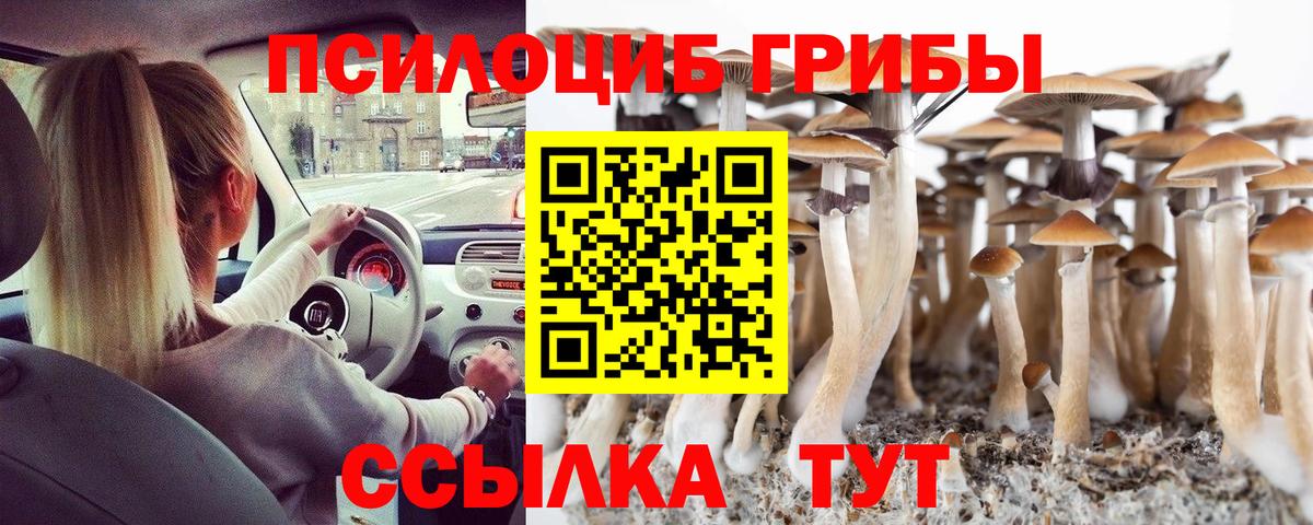 Псилоцибиновые грибы Psilocybine cubensis Людиново