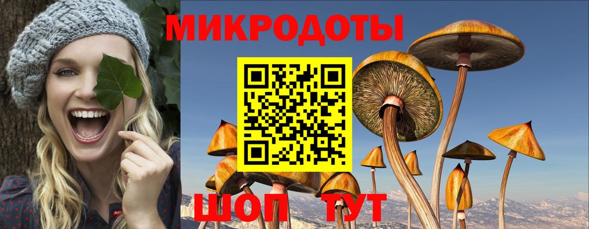 Галлюциногенные грибы MAGIC MUSHROOMS Людиново