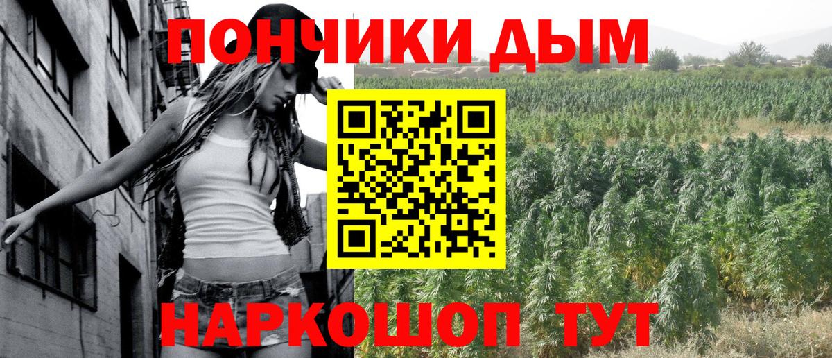 Бошки Шишки планчик Людиново